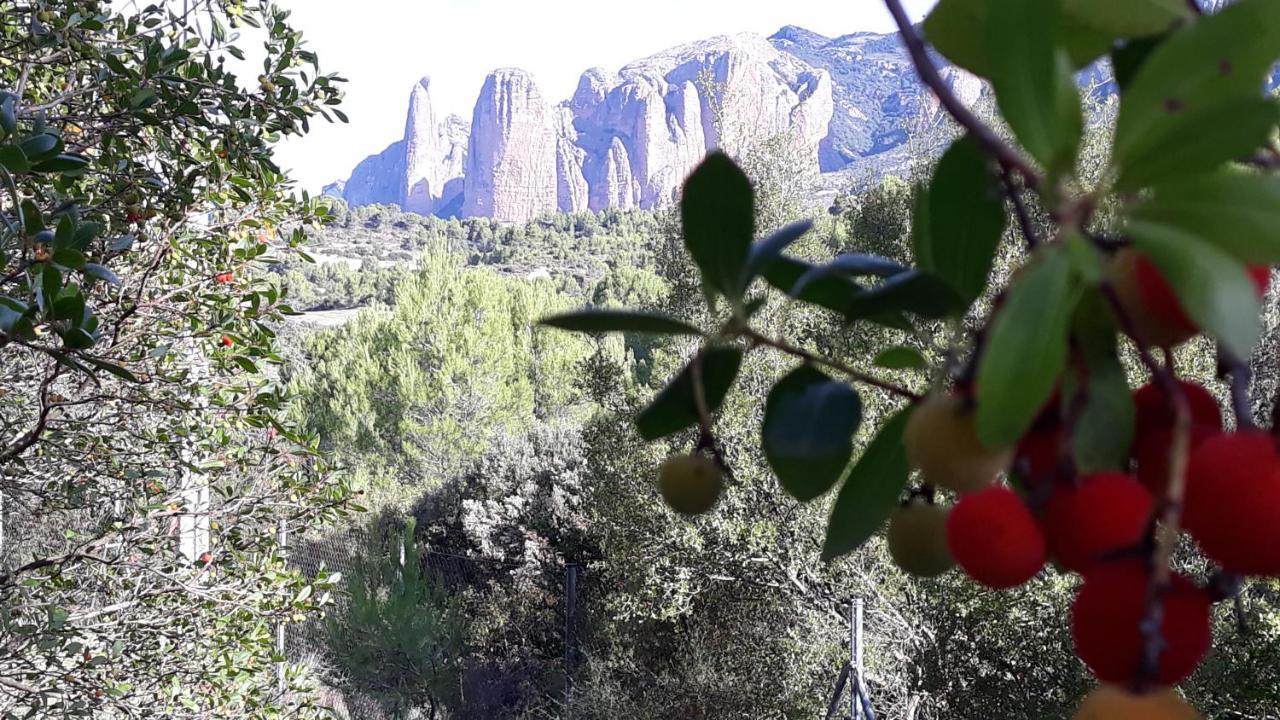 Despertar En Riglos Appartement Buitenkant foto